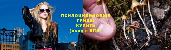 эйфоретик Алексин