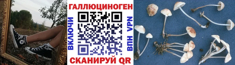Псилоцибиновые грибы мицелий  как найти наркотики  Новосиль 